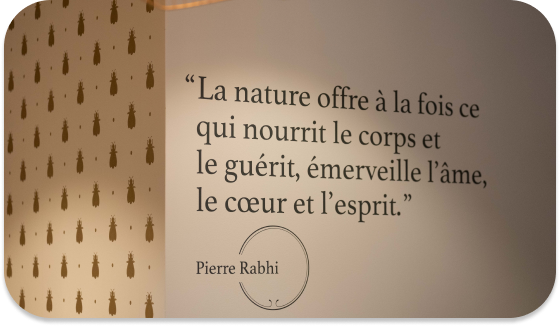 Photo d'une citation de Pierre Rabhi sur les murs de la Pharmacie de Bourg-de-Four